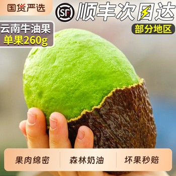 Sf sudahas avocado forest cream
