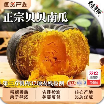 Authentic beibei pumpkin golden seed chestnut flavor small pumpkin fresh baby food powder nuo fei huihe origin