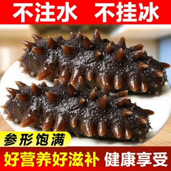 Fresh ready-to-eat sea cucumber, wild changdao sea cucumber, 500g fresh and dry goods, dalian gift box, frozen aquatic products
