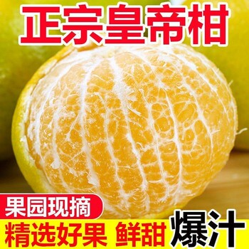 Guangxi oranges are fresh and juicy at room temperature, pure and sweet