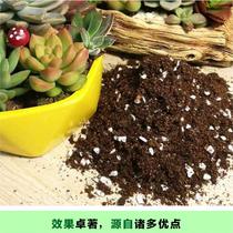 Special substrate for succulents - glass pumice nutrient soil for planting flower cultivation general fluffy and breathable