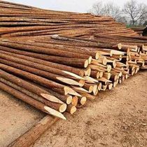 Fir wood piles pine wood piles river slope protection wood piles flood control cofferdam piling cryptomeria greening poles support piling wood