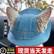 Dog and cat hat summer sunshade fishermans hat anti-shedding adjustable buckle basin hat cat and dog walking tool