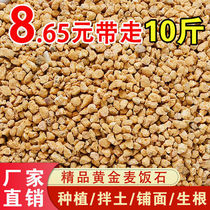 Gold soft medical stone granules nutritious succulent plant paving soil mixing special flower pot planting color control and root maintenance