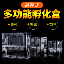 Guppy double-layer transparent fish breeding isolation box aquarium breeding box fish tank incubation box fish farm spawning box