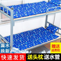Rui Peng Water Mattress Summer Student Dormitory Cooling Water Cushion Ice Mat Home Water Bag Cool Cushion Water Mattress Big double