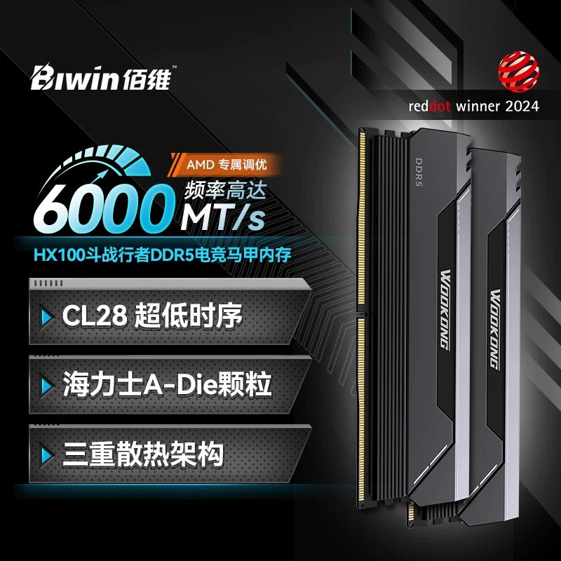 Baiwei HX100 6000/C28 48GB (24Gx2) DDR5 настольная жилетка памяти модуль 32G 16G*2