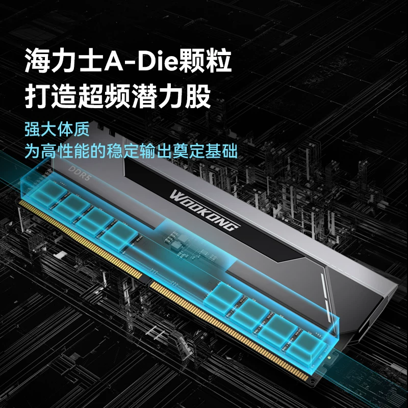 Baiwei HX100 6000/C28 48GB (24Gx2) DDR5 настольная жилетка памяти модуль 32G 16G*2