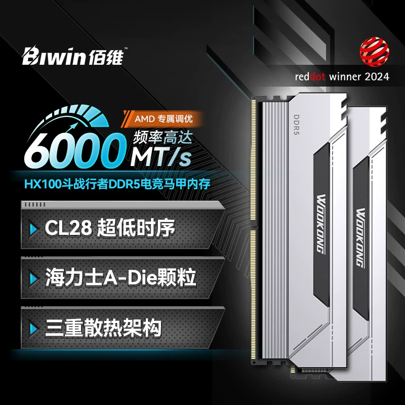 Baiwei HX100 6000/C28 48GB (24Gx2) DDR5 настольная жилетка памяти модуль 32G 16G*2