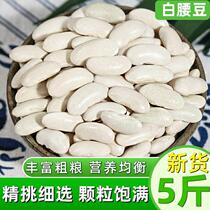 白腰豆5斤云南农家自产白芸豆白腰豆炖菜煲汤小白豆豆类杂粮