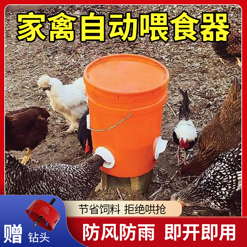 自动喂食神器：解放养禽者的双手