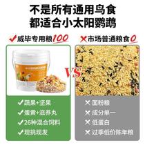 New Weibi Little Sun Special Food Golden Sun Monk Weaning Shelled Feed Nourishing Pills Peony Nutritional Bird Food