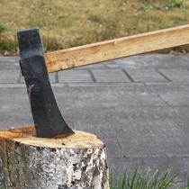 Track steel forged firewood ax back curved ax firewood ax heavy firewood ax small mountaineering household forest farm ax