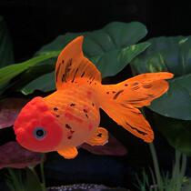 Fake fish simulation swim simulation fish tank fake fish toy for swimming with toy fish simulation goldfish hippy water making swing