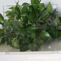 Wuhan Jiangcheng Xinchang ultra-white tempered laminated wire partition safety glass door