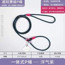 Puppy Rope Rope Track Rope Training Rope Training Dog Pdog Training Dog Rope Training