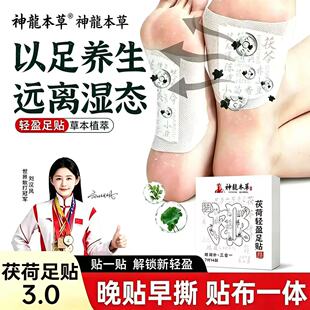 【14贴】神龙本草茯荷轻盈足贴