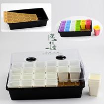 Special pot for cutting seedlings T seedling box with cover rose gardening leaf plug tray sowing artifact nutrition cup soil