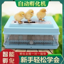 Germany imports new fully automatic roller hatching machine chicken duck goose hatchery hatchbox hatching box for warming quail warming box