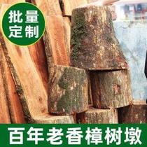 Large Zhangmu red block old fragrant stool wood pile Zhangmu log wood strips natural mound tea table