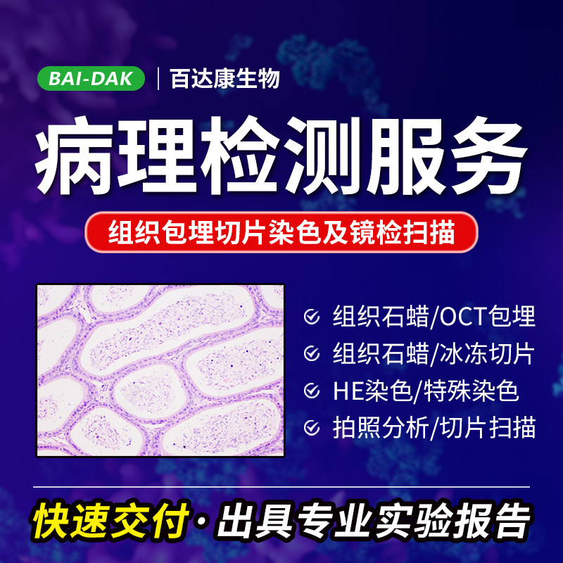 病理切片检测服务 组织标本石蜡包埋切片 OCT包埋冰冻切片 HE染色 显微镜镜检 病理切片扫描 病理切片分析