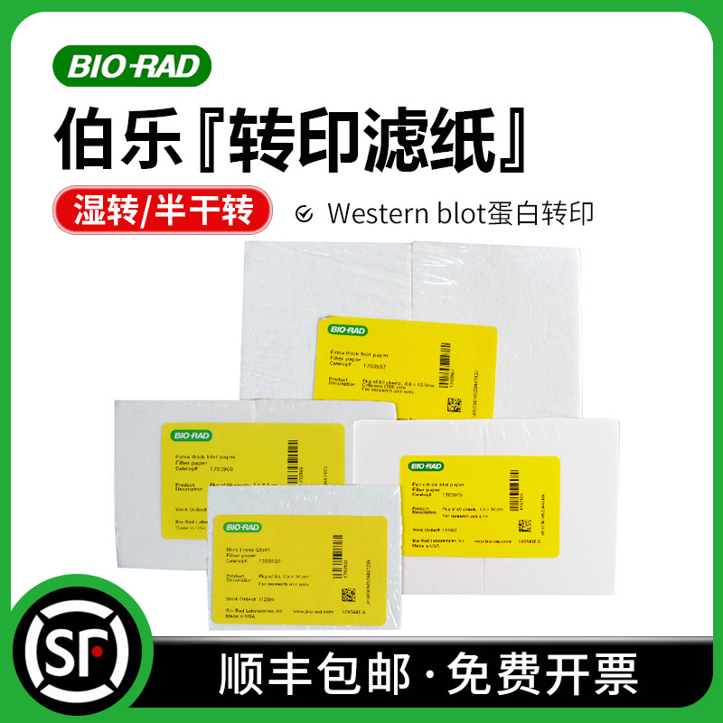 伯乐bio-rad 超厚转印滤纸 WB湿转转膜半干转印 1703932 1703965 1703966 1703967 1703968 1703969 1703959