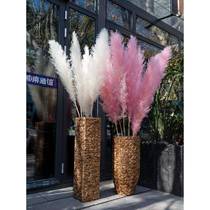 Window wedding props pink reed dried flower bouquet pampas grass dried flower real flower natural reed decorative flower arrangement dried flower
