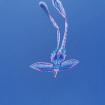 Phoenix Kite Shandong Weifang 2024 New Style Breeze Easy-Fly Chinese Style Extra Large Kite for Children and Adults