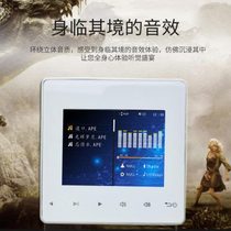 Lingxiao homestay background music host system Bluetooth audio amplifier controller smart home audio and video 86