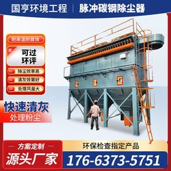 Bag dust collector central pulse industrial dust removal environmental protection equipment high temperature resistant boiler cyclone woodworking pulse dust