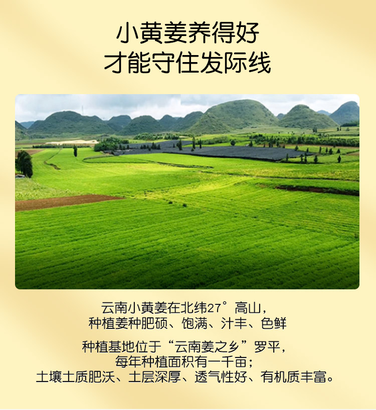 O1CN01prEI1C2Mxy1XqKvQ2_!!2217482319895.jpg