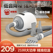 Pet hair dryer dog hair dryer high-power silent large dogs and cats home special hair drying artifact