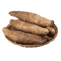 Authentic fresh Yunnan Ganoderma lucidum yam Dagen non-Huaishan small white mouth iron rod yam purple weight weight hemp glutinous rice yam