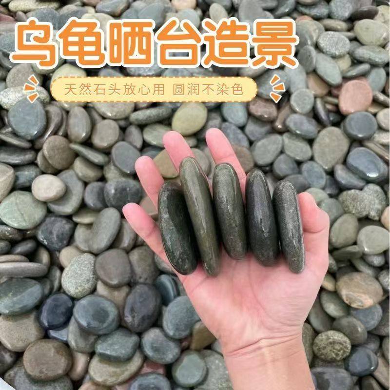 乌龟爬坡台、晒背石到底该怎么选？2026年宠物造景新趋势解读