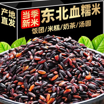 Northeast blood glutinous rice new rice authentic black glutinous white glutinous rice purple rice ball taro paste hot milk baby rice dumplings baked commercial