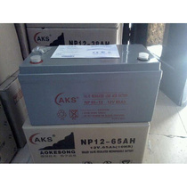 Oxon battery NP65-12 12V65AH UPS DC screen EPS special lead-acid battery original