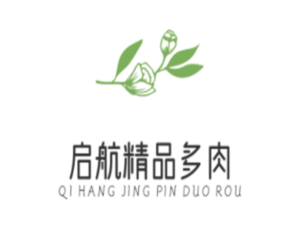 启航精品多肉的LOGO