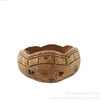 Factory direct coconut shell succulent flowerpot special