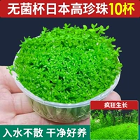 Стерильная чашка японская высокая жемчуга 10 чашек