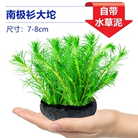 【Принесение базы питания ❤】 Антарктическая рубашка Datuocao