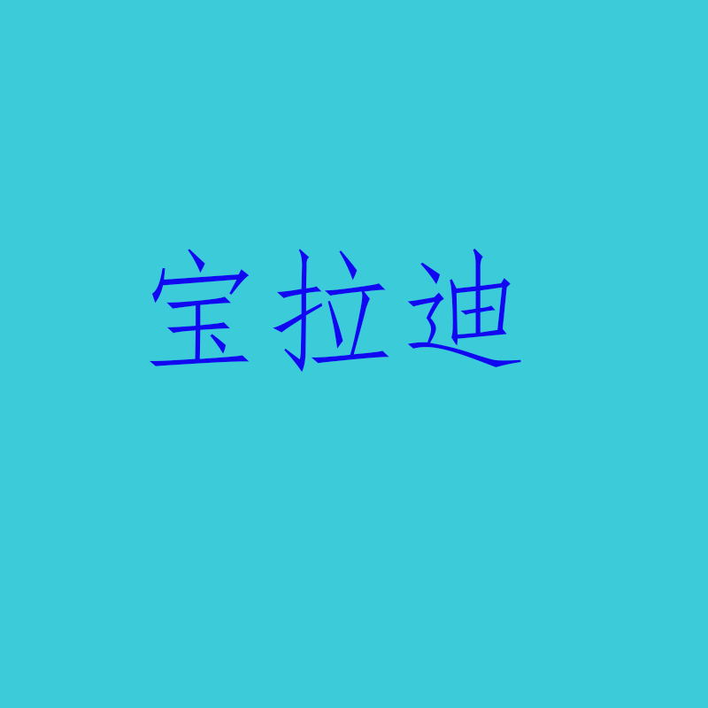 宝拉迪智能闪充店