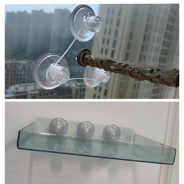 Parrot Perch Stand, Aerial Stand, Aerial Tray, Acrylic Suction Cup Stand, Bird Perch Made of Pepperwood for Fixed Defecation