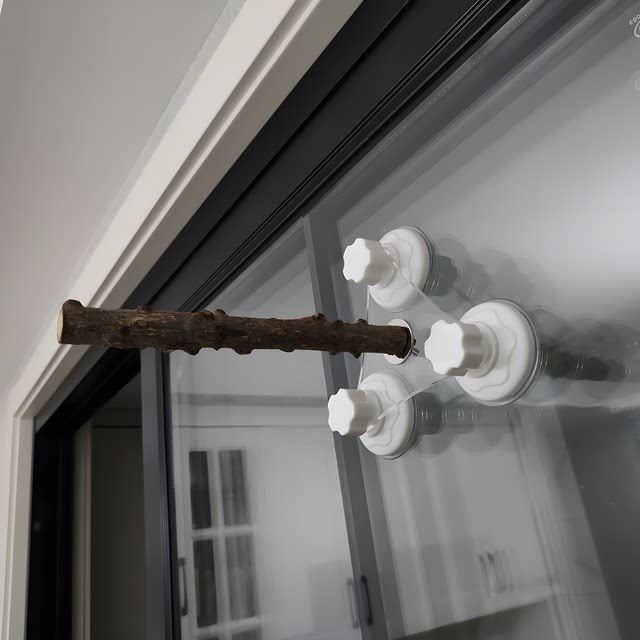 Parrot Perch Stand, Aerial Stand, Aerial Tray, Acrylic Suction Cup Stand, Bird Perch Made of Pepperwood for Fixed Defecation