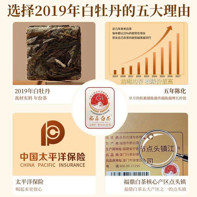 福鼎之旅：青少年探索白茶故乡的跟团游全解析