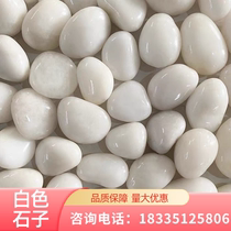 Sichuan Natural bright white stone deep polished pebble rain pebble white fish tank stone gardening decoration courtyard