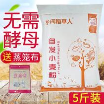 (Send steaming cloth) Self-raising flour 5 pounds special flour for steamed buns fried dough sticks cakes wheat flour household medium-gluten flour