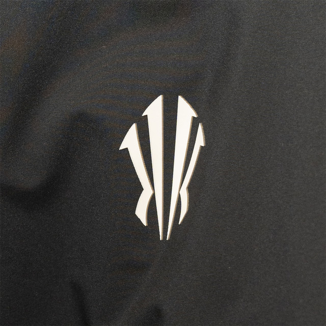 Anta Sports down Jacket Men's 2025 Winter New Owen Series Water-Repellent Cotton Jacket 172541903N