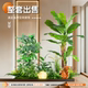 Artificial Green Plant Landscape Plant Combination for Indoor Internet Cafe Entrance Partition Decoration and Restaurant Layout Artificial Trees