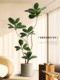 Artistic Decoration for the Entrance and Living Room, Artificial Green Plants for the Sofa Corner and Next to the Tv Cabinet in the Homestay Interior