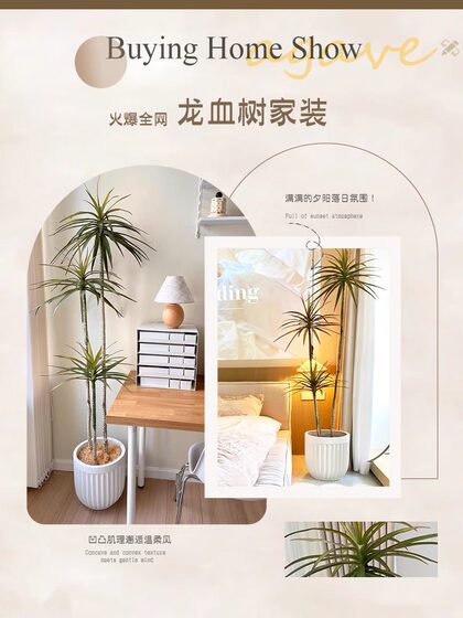 Artificial Green Plant Decoration, Simulated Indoor Large Potted Dragon Blood Tree, Living Room Floor-Standing Ornament, High-End Light Luxury Artificial Flower Plant